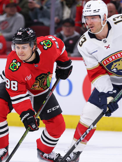 篮球迷们 篮球迷们