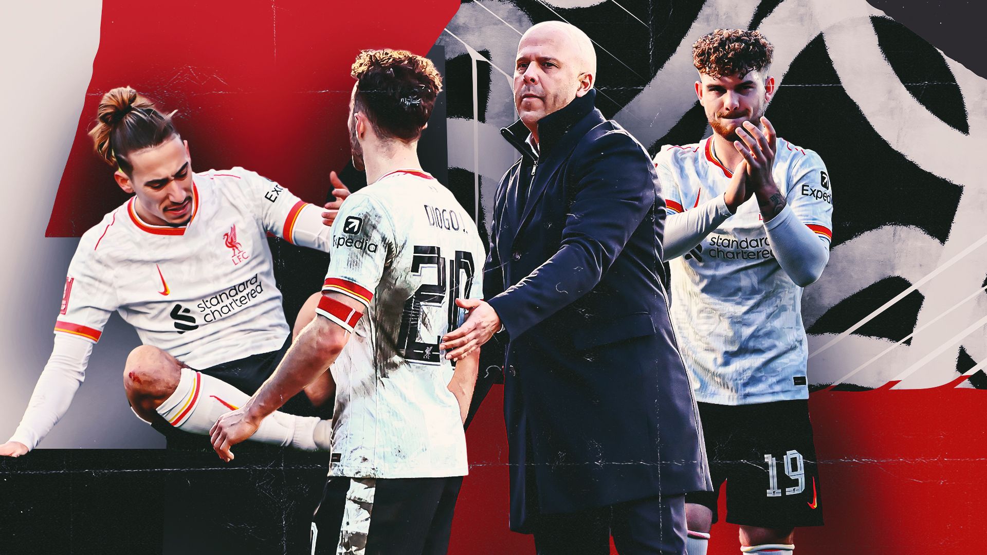 的观赏性和 的观赏性和